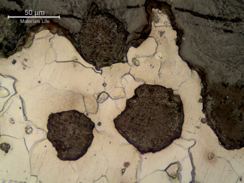 Polished cross-section showing rounded graphite nodules within a ferritic matrix, bordered by an irregular oxidized region at the surface edge.