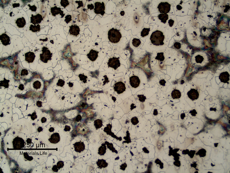Center of the flat casting product, presenting nodular graphite and ferritic perlitic matrix.