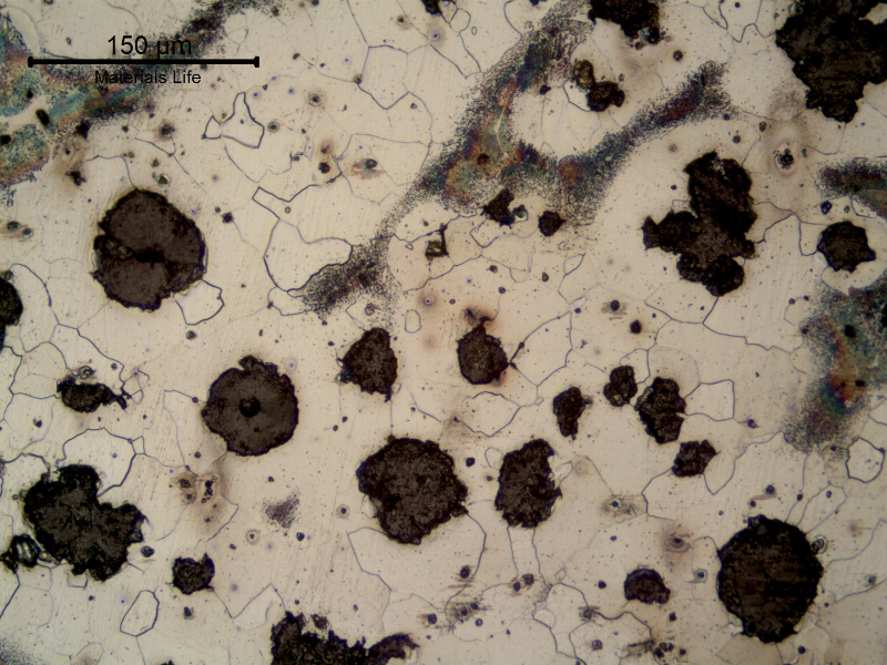 Nodular cast iron presenting a ferritic perlitic matrix.
