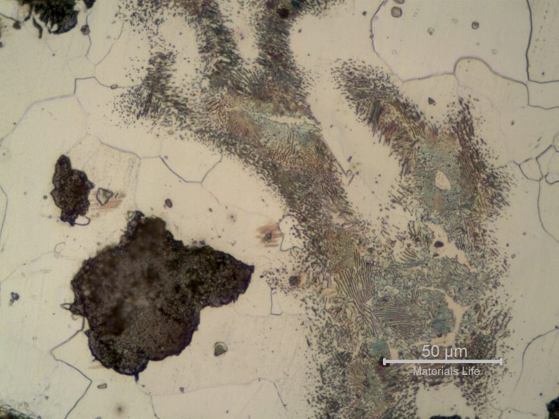 Nodular cast iron. Ferritic perlitic matrix. White regions in the pearlite colonies are free carbides.