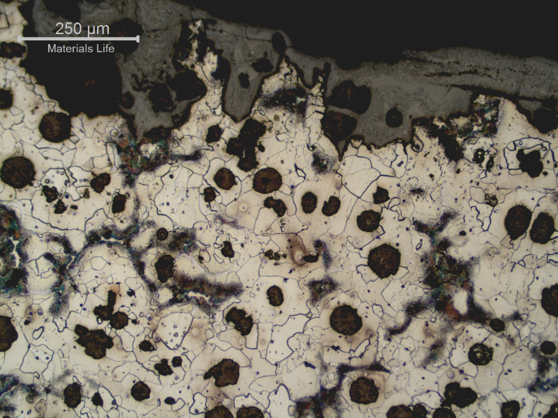 The graphite nodules remain at the surface and the matrix was consumed during high temperature exposition.
