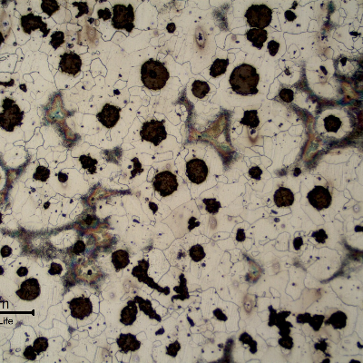 Center of the flat casting product, presenting nodular graphite and ferritic perlitic matrix.