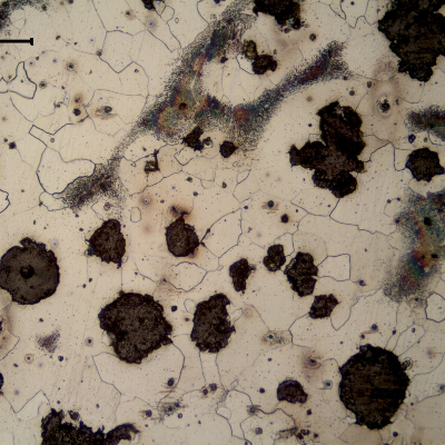 Nodular cast iron presenting a ferritic perlitic matrix.