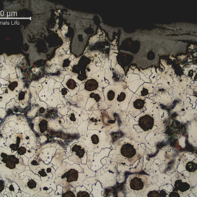 The graphite nodules remain at the surface and the matrix was consumed during high temperature exposition.