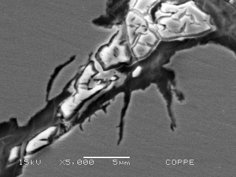 Micrographic detail of the cracking, associated to the ferrite network, that presents both corrosion (preferential dissolution) and fracture (clevage) aspects.
