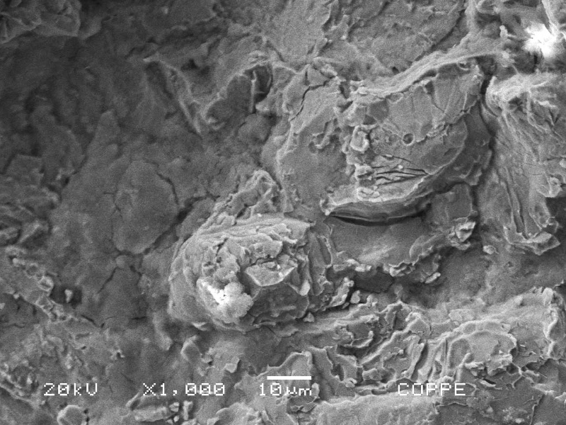 The fracture surface, although presenting a large amount of corrosion products, shows also evidences of a brittle behavior with regions of cleavage micromechanism.