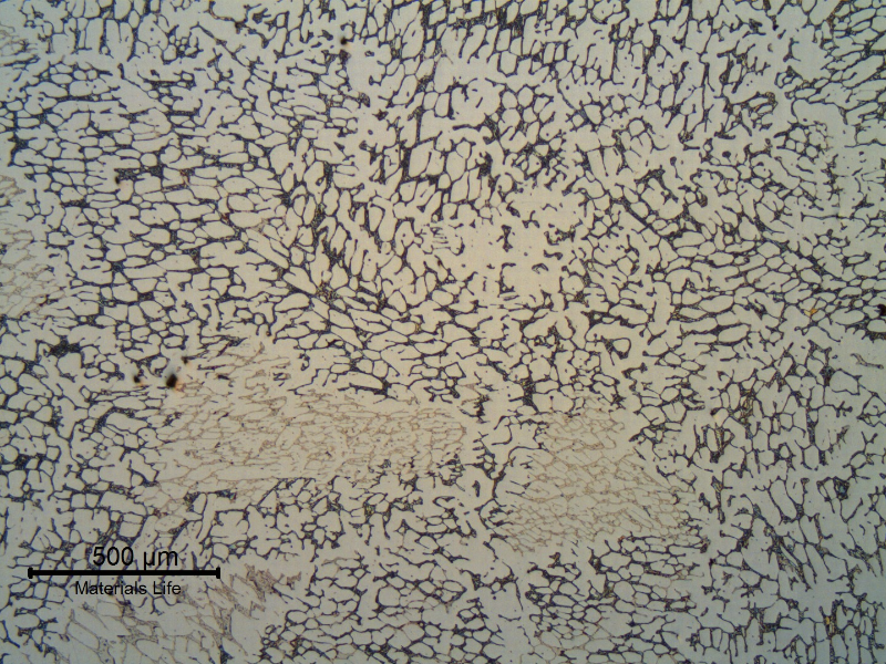 Micrography of the flange in the longitudinal section. The flange microstructure is ferritic austenitic, presenting a coarse structure.