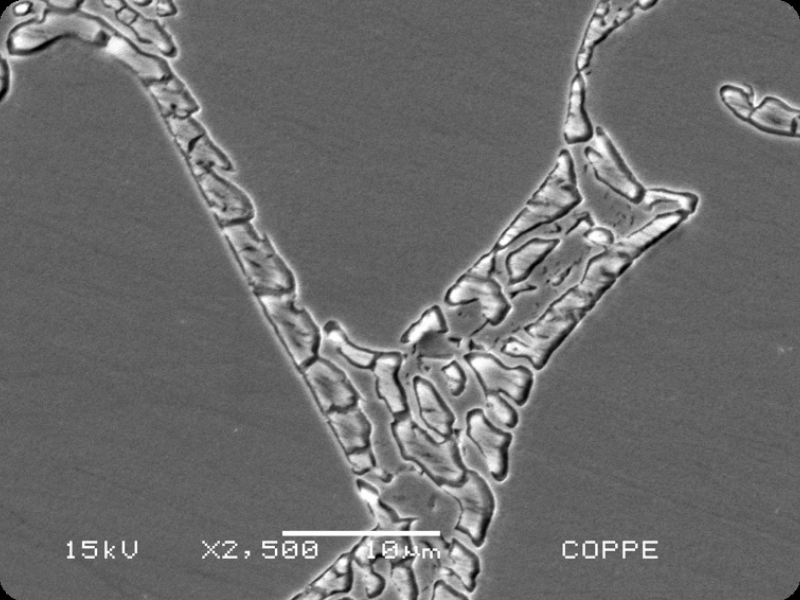 Micrographic detail of the ferrite network with evidences of precipitation/formation of detrimental phases. NaOH solution was adopted for the electrolytic etching.