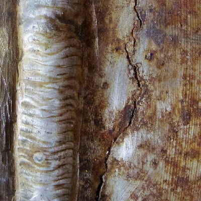 Visual aspect from the external side of the 14"ND  flange butt welded to a pipe, presenting a through wall crack about 5mm to 10mm from the butt welding.