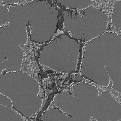 Micrographic detail of the through wall cracking in the middle of the thickness, showing that the cracking is associated to ferrite network in the (super)duplex microstructure.