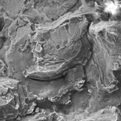 The fracture surface, although presenting a large amount of corrosion products, shows also evidences of a brittle behavior with regions of cleavage micromechanism.