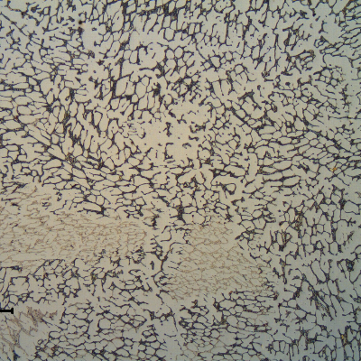 Micrography of the flange in the longitudinal section. The flange microstructure is ferritic austenitic, presenting a coarse structure.