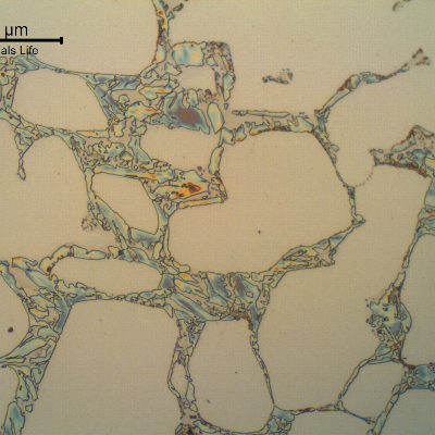 Micrographic detail of the flange microstructure in the longitudinal section. The flange is ferritic austenitic, presenting 70% of austenite. In the ferrite network there are evidences of precipitation/formation of detrimental phases.