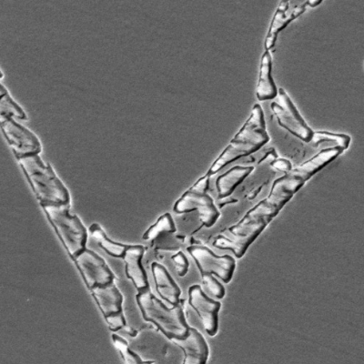 Micrographic detail of the ferrite network with evidences of precipitation/formation of detrimental phases. NaOH solution was adopted for the electrolytic etching.