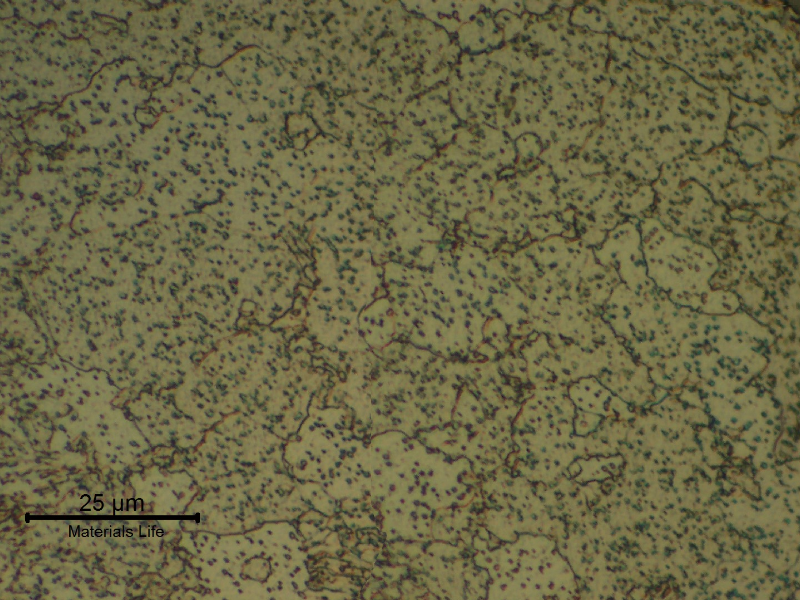 Micrographic detail of a longitudinal section of the bolt close to the fracture, presenting an overtempered structure.