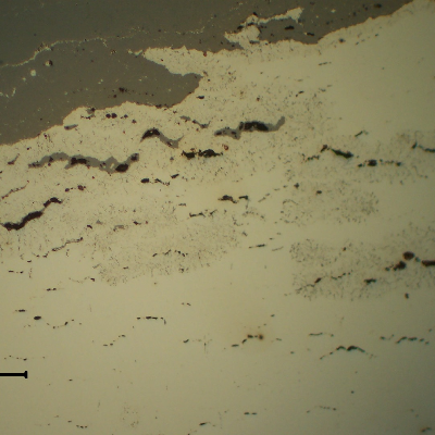 Micrographic detail of the creep voids and interconnected cracks. The broken bolt remained in service during some time and the fracture surface presented a thick oxide layer(grey). As polished.