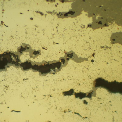 Micrographic detail of the creep voids and interconnected cracks. The broken bolt remained in service during some time and the fracture surface presented a thick oxide layer(grey). As polished.