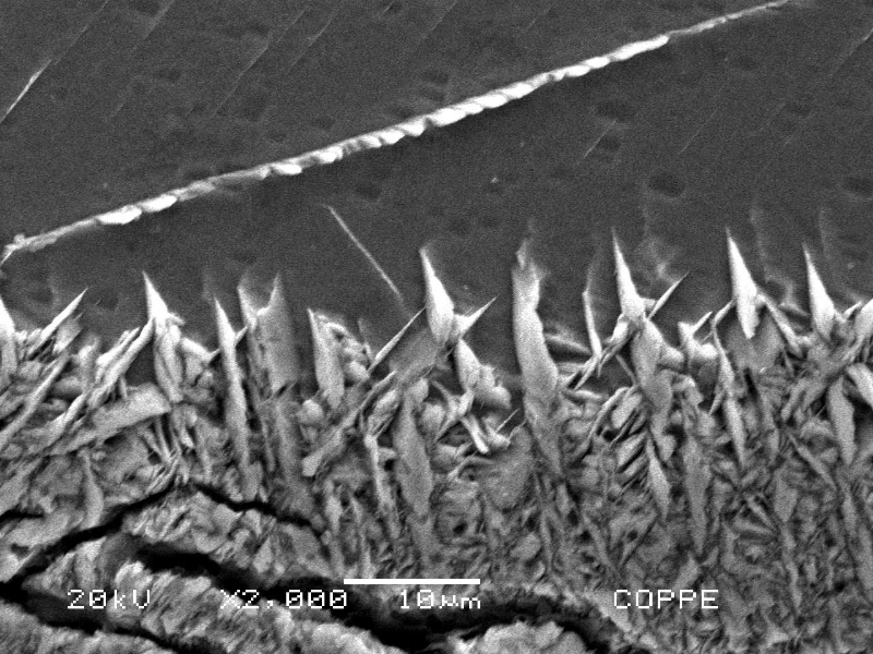 Detail of the hydride layer at the internal surface of the pipe base metal, after Kroll etch.
