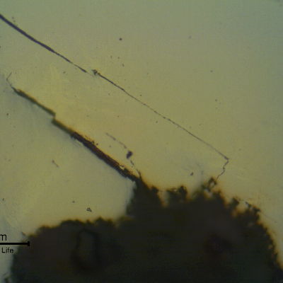 Detail, as polished, of brittle cracks in the weld metal, from the internal side of the pipe.