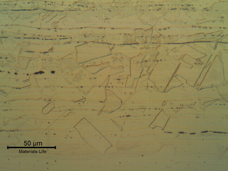 Longitudinal section of the main pipe showing as austenitic structure with small amount of delta ferrite, aligned (black dots).