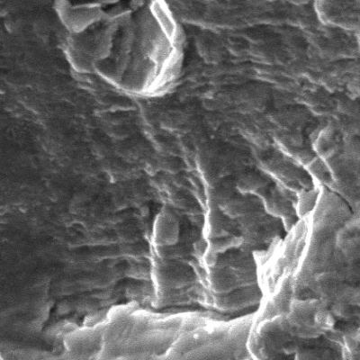 Fracture surface micromechanism by striation, evidence of FATIGUE.