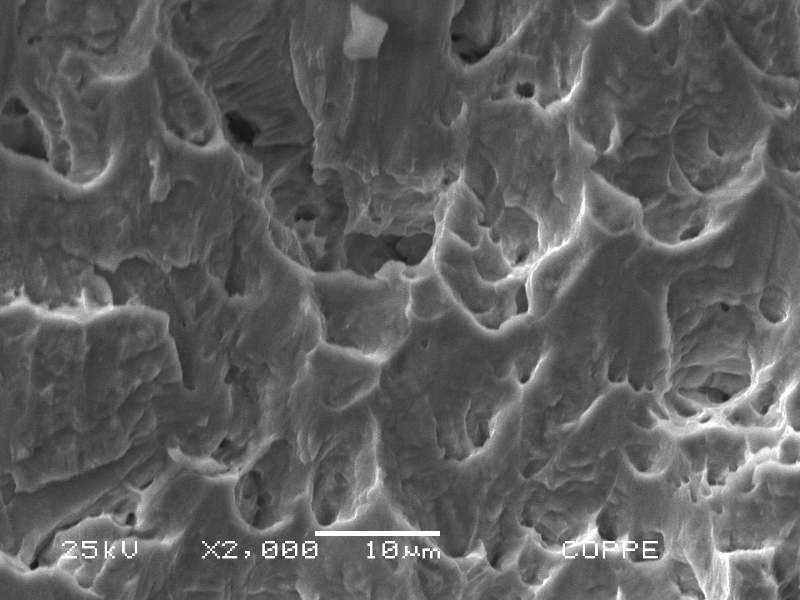 The fracture micromechanism is ductile for the pin that has been sheared in a condition of controlling the load carrying. Elongated Dimples.