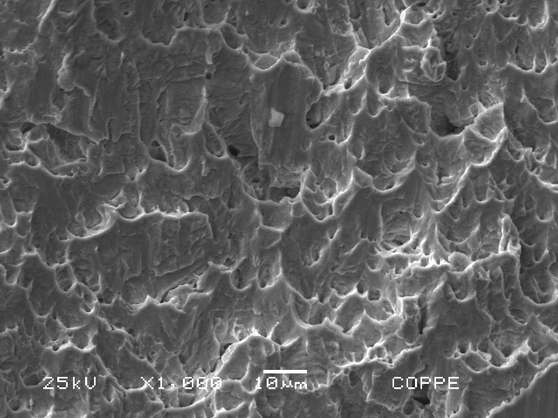 The fracture surface is ductile and the micromechanism is dimples, elongated due to the shearing action.
