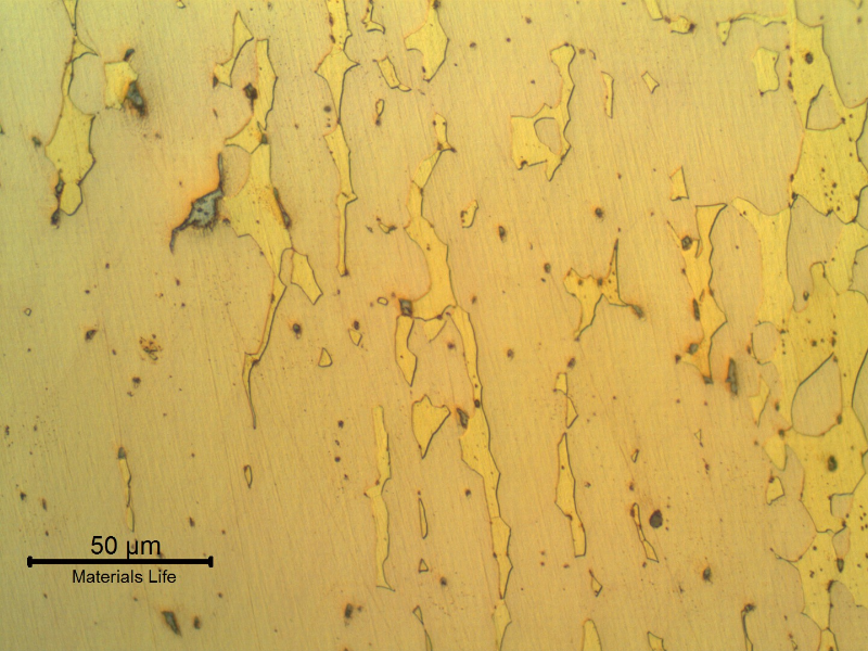 The micrography of the pin far from the fracture surface shows a biphasic brass, and Pb inclusions that are intentional to give a free machining condition for the alloy.