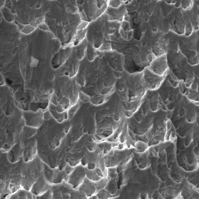 The fracture surface is ductile and the micromechanism is dimples, elongated due to the shearing action.