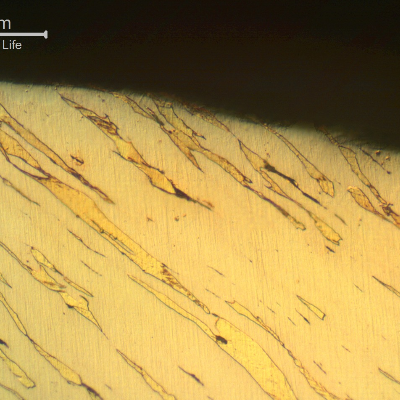 The micrography of the pin at the fracture surface shows a strong plastic deformation as expected during shearing.