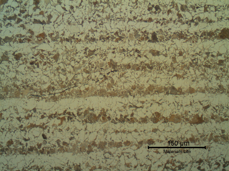 Micrography of a longitudinal section of the shell plate base metal, presenting a typical ferritic-perlitic microstructure.
