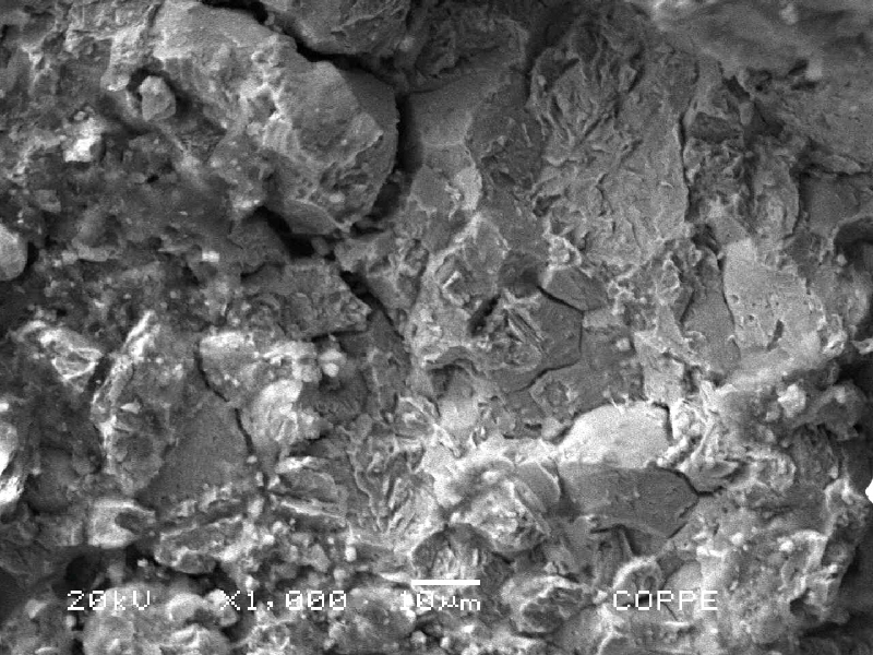 The fractography by SEM shows intergranular fracture close to the external surface of the pin.