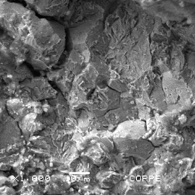 The fractography by SEM shows intergranular fracture close to the external surface of the pin.