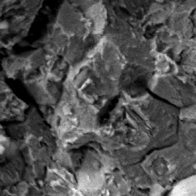 Fractographic detail by SEM of the intergranular fracture close to the external surface of the pin.