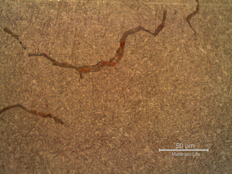 Detail of the acetate metallographic replica from the surface, before cracking removal, showing the (previous austenite) intergranular morphology of the cracks in a very refined weld metal structure.