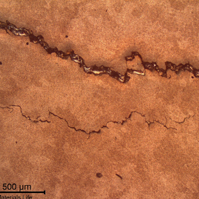 Acetate metallographic replica from the surface, before cracking removal, showing the intergranular morphology of the cracks in a very refined weld metal structure.