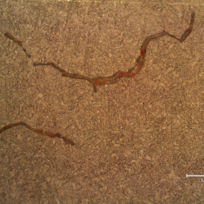 Detail of the acetate metallographic replica from the surface, before cracking removal, showing the (previous austenite) intergranular morphology of the cracks in a very refined weld metal structure.