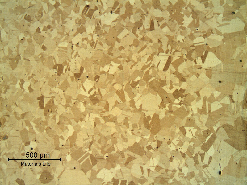 Microstructure of the fitting in the transverse section, presenting a granular Ni austenitic structure. No evidences of any phase in the grain boundaries.