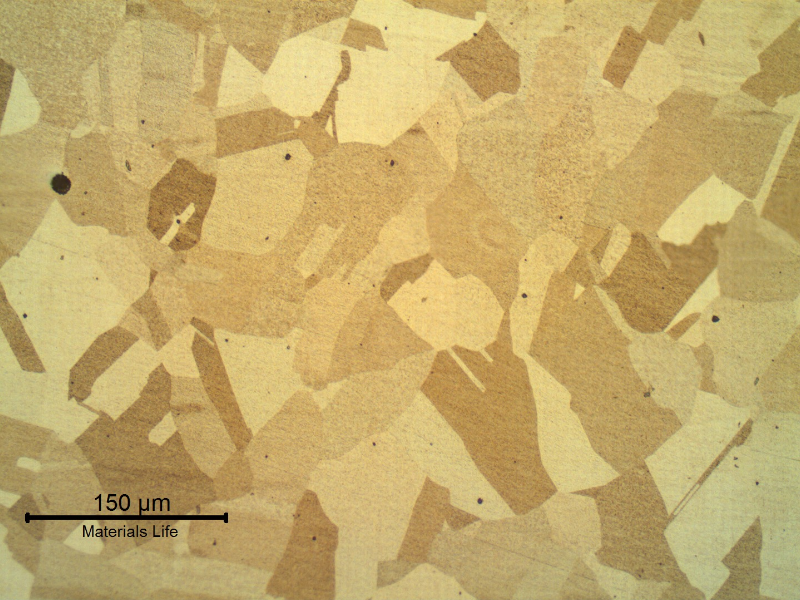 Microstructure of the fitting in the transverse section, presenting a granular Ni austenitic structure.  No evidences of any phase in the grain boundaries.