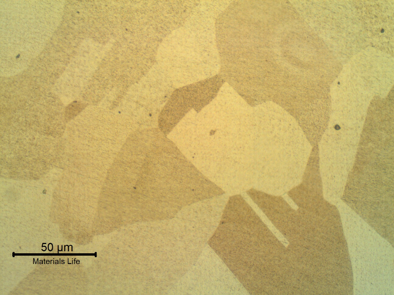 Microstructure of the fitting in the transverse section, presenting a granular Ni austenitic structure. No evidences of any phase in the grain boundaries.