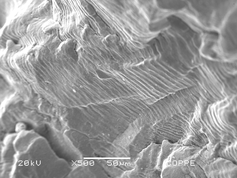 After opening the crack the fracture surface presented different aspects close to the internal surface, in the initiation, and through the wall propagation.  Detail of the transgranular striation, showing the contribution of pulsing loads.