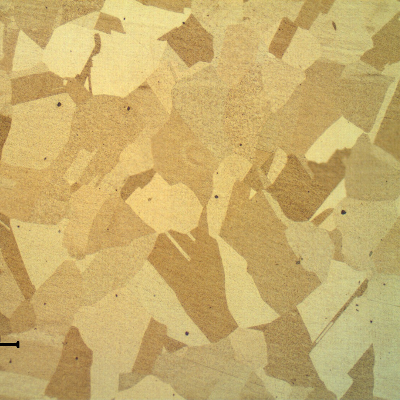 Microstructure of the fitting in the transverse section, presenting a granular Ni austenitic structure.  No evidences of any phase in the grain boundaries.