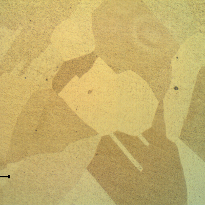 Microstructure of the fitting in the transverse section, presenting a granular Ni austenitic structure.  No evidences of any phase in the grain boundaries.