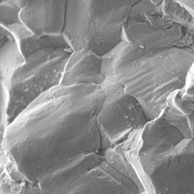 After opening the crack the fracture surface presented different aspects close to the surface, initiation mechanism, and through the wall propagation.  Detail of the intergranular cracking mechanism close to the internal surface.