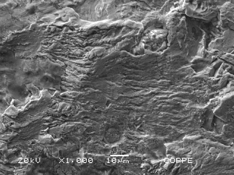 Detail of the fatigue fracture propagation, with striation micromechanism.