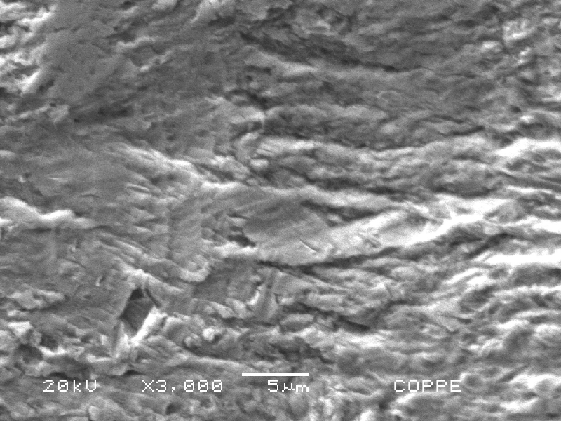 Fractographic detail of fatigue striation.
