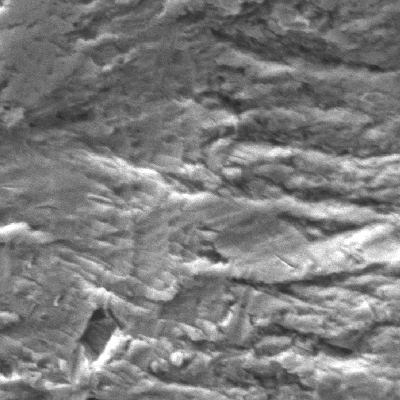 Fractographic detail of fatigue striation.