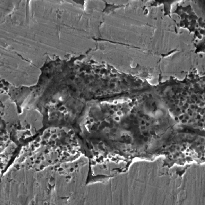 Detail of the external surface aspect showing localized corrosion.