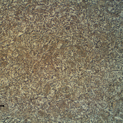 Micrographic detail of the bainitic microstructure of the base metal in the longitudinal section.