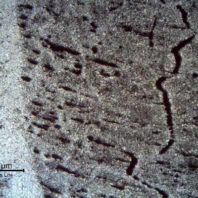 Welded region etched to reveal impurities.  The banded structure creates a continuous network parallel to the weld metal.